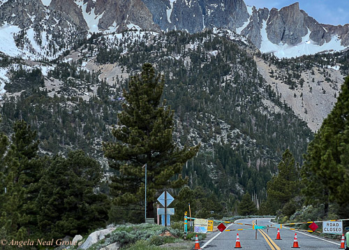 The Tioga Pass, Yosemite was blocked and closed until mid-July following record breaking snowmelt and cold winter of 2023   Photo: ©ANGROVE