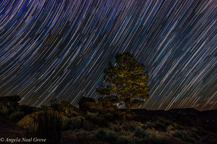 Star trails are images of the stars which circle around the North Star as the earth revolves.
  Photo: ©ANGROVE