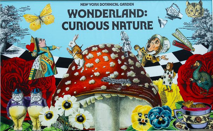 Here are Alice, the white rabbit, the cheshire cat and a galaxy of curious creatures on the poster for the New York Botanical Garden Wonderland exhibit. //Photo: ANGrove