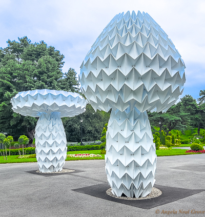 At the New York Botanical Gardens Wonderland Exhibit are these stranger than fiction giant mushroom sculptures, Shrumen Lumen by FoldHaus Art Collective, San Francisco. At night they are lit with rainbows of LEDs.  //:Photos ANGrove