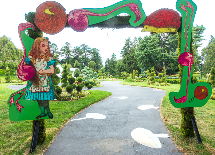 New York Botanical Garden: Wonderland: Curious Nature garden exhibit shows topiary clipped in fantasy shapes and an arch depicting Alice with some of the creatures she met down the rabbit-hole.  //:Photo:ANGrove