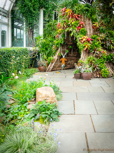 At the New York Botanical Gardens "Wonderland:Curious Nature" there is a "rabbit-hole" in the Conservatory, as in "Alice's Adventures in Wonderland" which leads visitors into an area filled with a display of exotic vegetation including insect devouring pitcher plants.