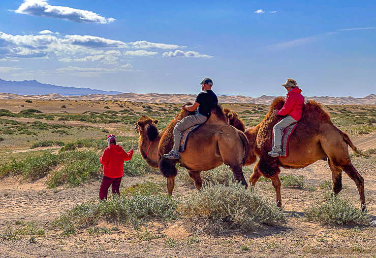 Khorgyn Els where sandunes reach 1000 feet. Also called singing sands due to the sound created by wind. Here they can be seen with the Altai Mountain range in the background. The best way to explore the area is by camel