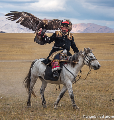 Eagle calling competition: Hunter retrieving his eaglePhoto:// ANGrove