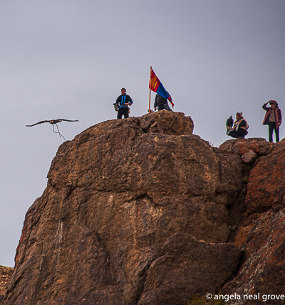 Eagle calling competition: Eagles leaving the top of a cliff to find their eagle hunter
Photo:// ANGrove