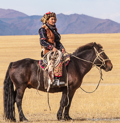 Eagle calling competition: Kazakh eagle hunter waits for his eagle. He has a fresh rabbit attached to the saddle to lure the bird Photo:// ANGrove