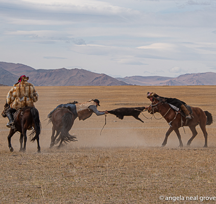 Horsemen grip the horse with their knees as they battle it outPhoto:// ANGrove